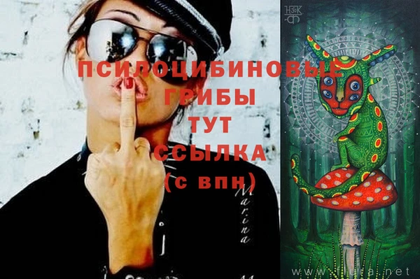 прущая мука Арсеньев