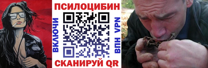 MEGA маркетплейс  Зверево  Галлюциногенные грибы Psilocybine cubensis 